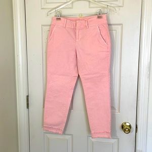 New Pink Loft Pant Size 2 Petite